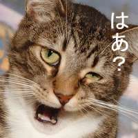 はぁ?.jpg