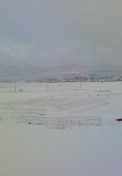 新潟初雪その1.bmp