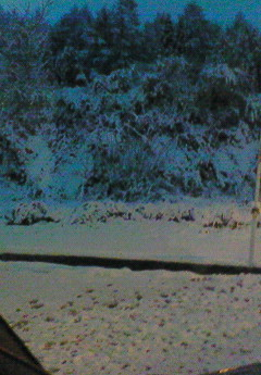 新潟初雪その2.bmp